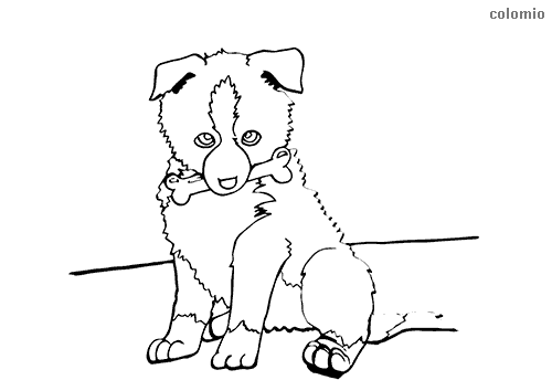 Dogs coloring pages free printable dog coloring sheets