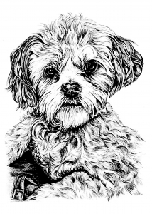 Dog coloring pages for kids