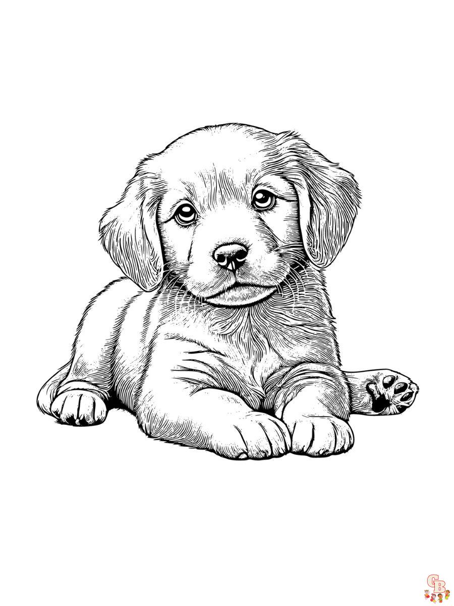 Puppy coloring pages