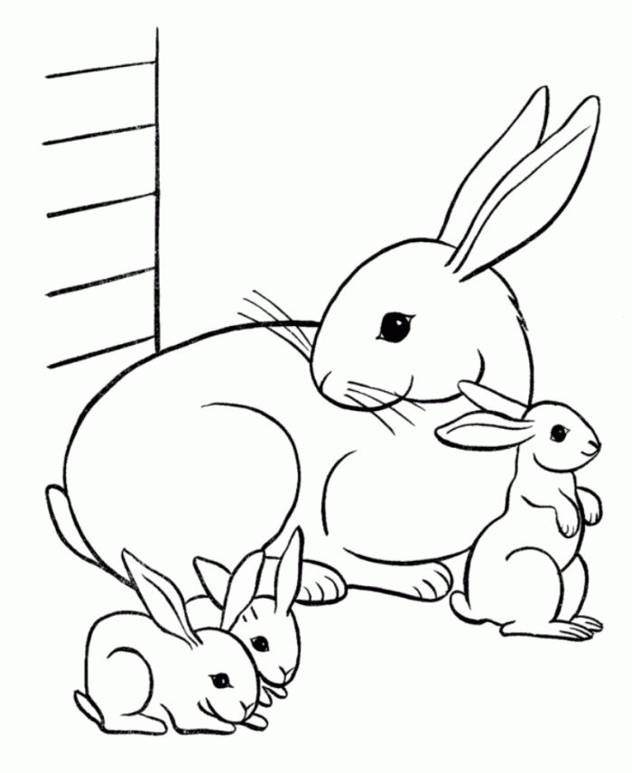 Free printable rabbit coloring pages for kids bunny coloring pages animal coloring pages rabbit colors