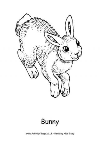 Rabbit louring pages