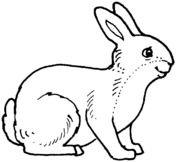 Rabbits coloring pages free coloring pages