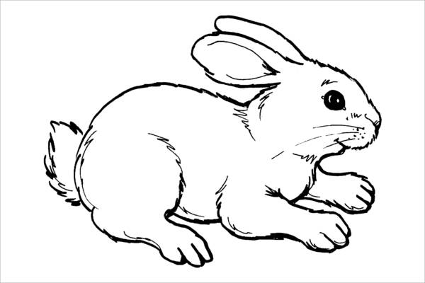 Free bunny coloring pages in ai
