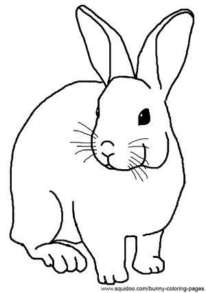 Realistic rabbit coloring pages bunny coloring pages rabbit colors coloring pages