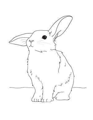 Easter coloring pages