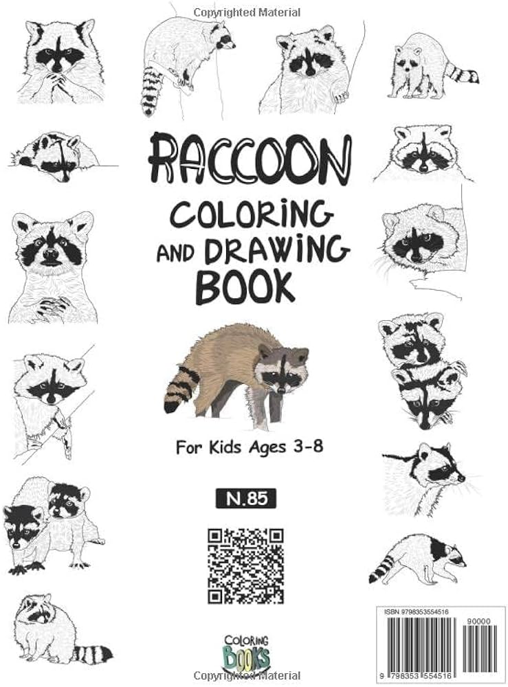 Raccoon coloring and drawing book for kids ages