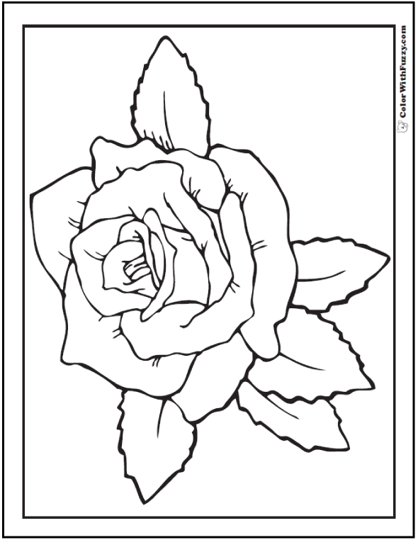 Lovely rose coloring page