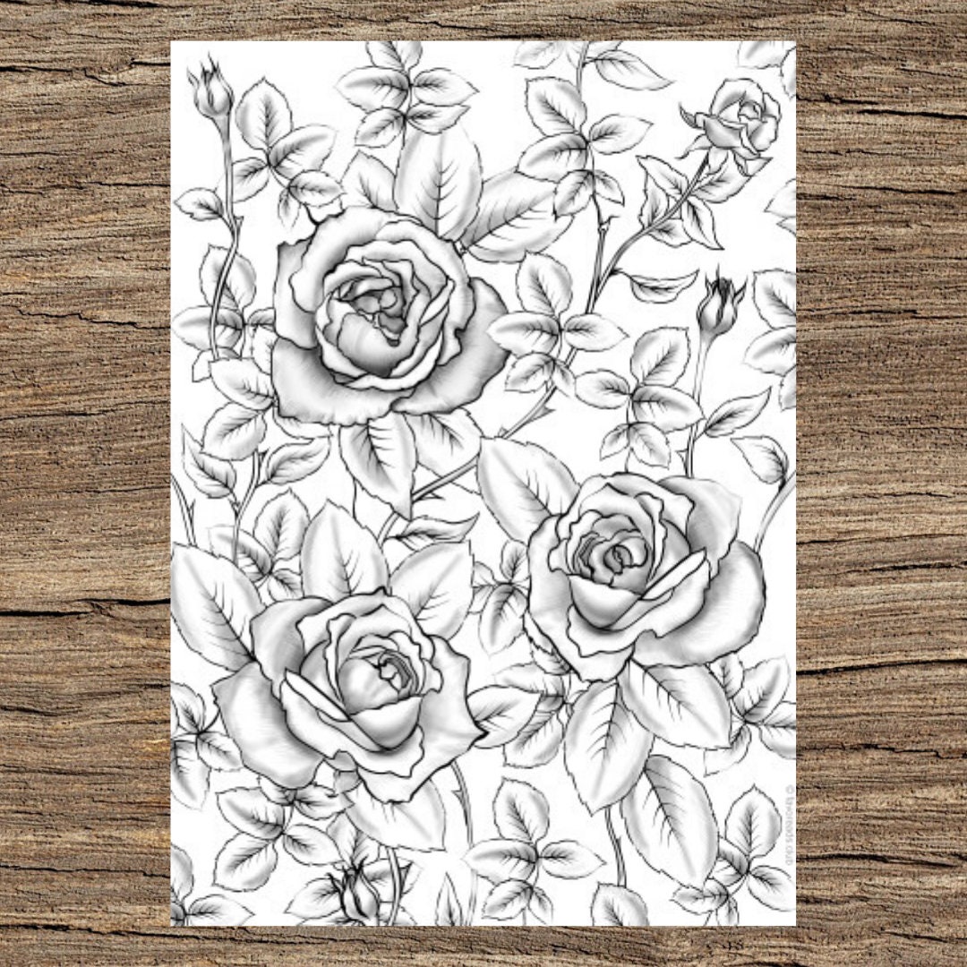 Roses printable adult coloring page from favoreads coloring book pages for adults and kids coloring sheets coloring designs