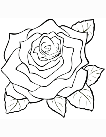Rose coloring page free printable coloring pages