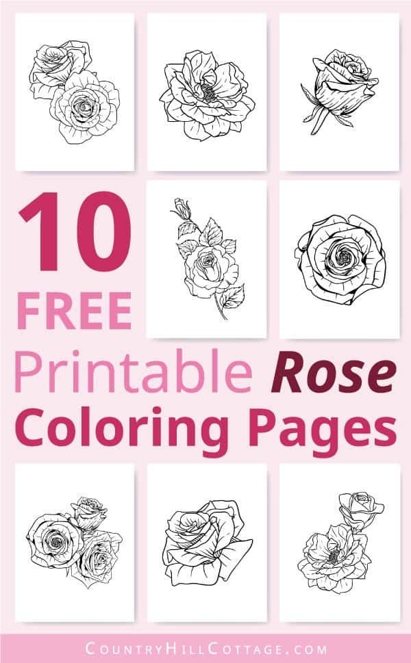 Free printable rose coloring pages realistic designs for adults