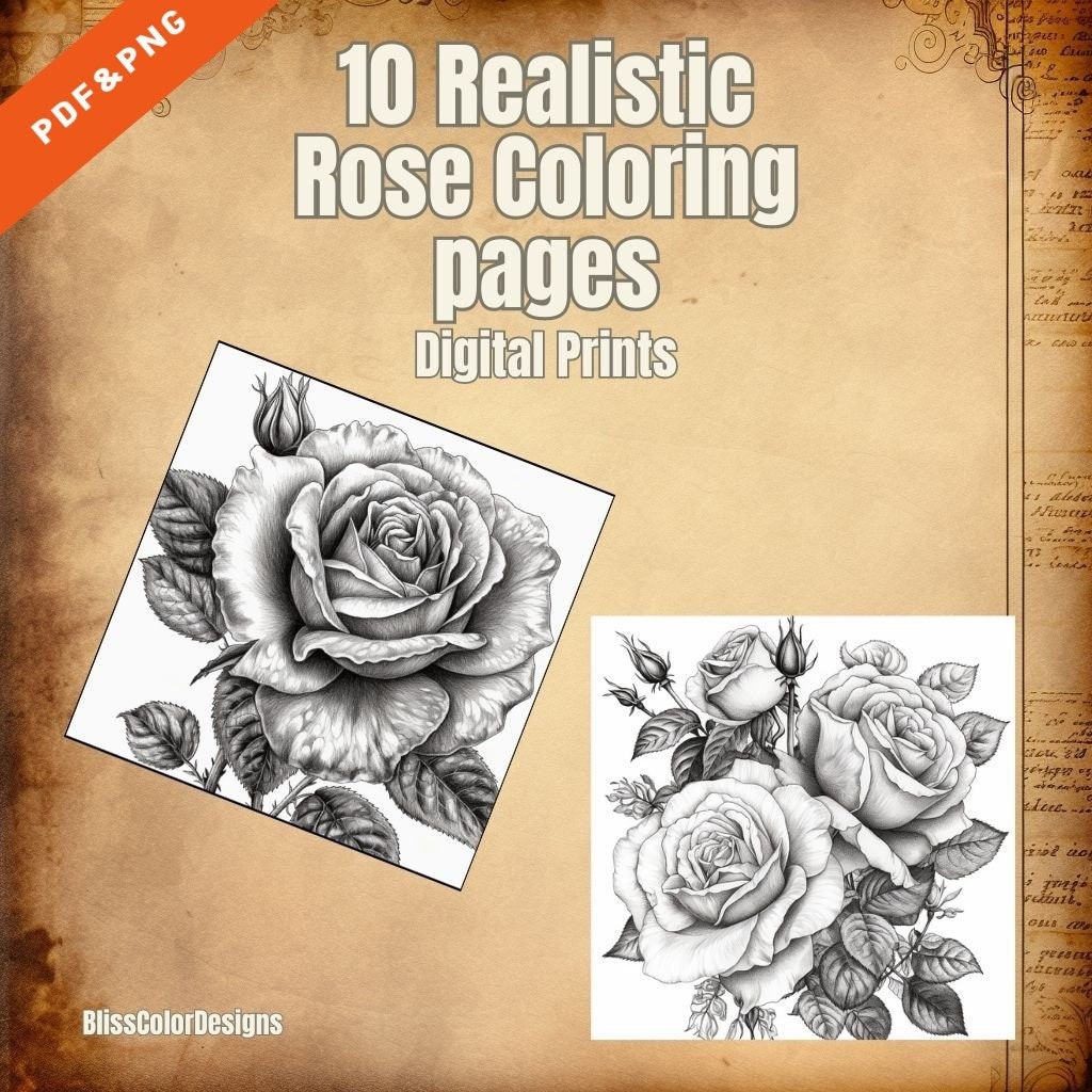 Realistic rose coloring pages digital pdfpng