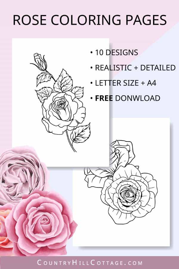 Free printable rose coloring pages realistic designs for adults