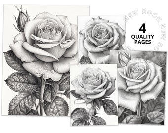 Breathtaking roses coloring book printable coloring page for adult coloring book digital download grayscale coloring page