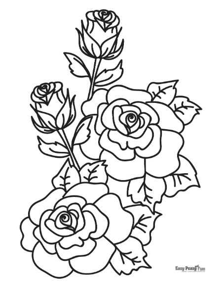Printable rose coloring pages
