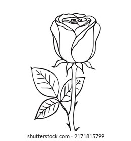 Rose coloring page images stock photos d objects vectors