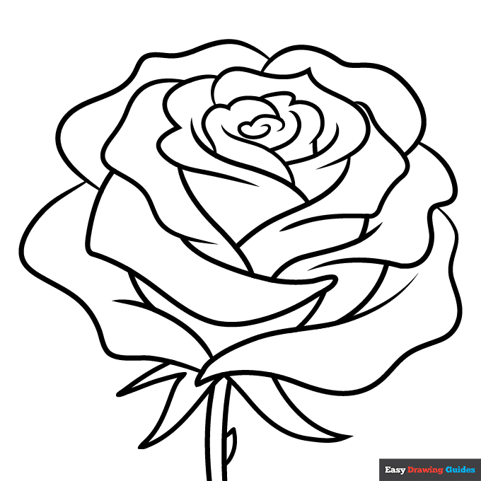 Realistic rose flower coloring page easy drawing guides