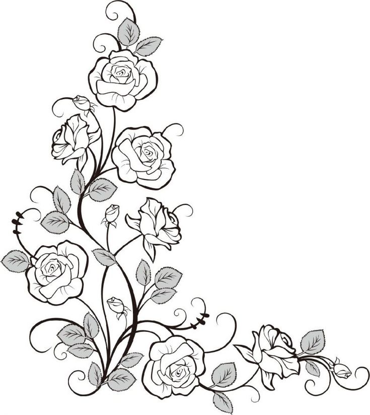 Rose coloring pages realistic coloring rose coloring pages flower drawing floral drawing