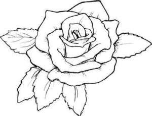 Floral rose coloring pages tattoo coloring book flower coloring pages