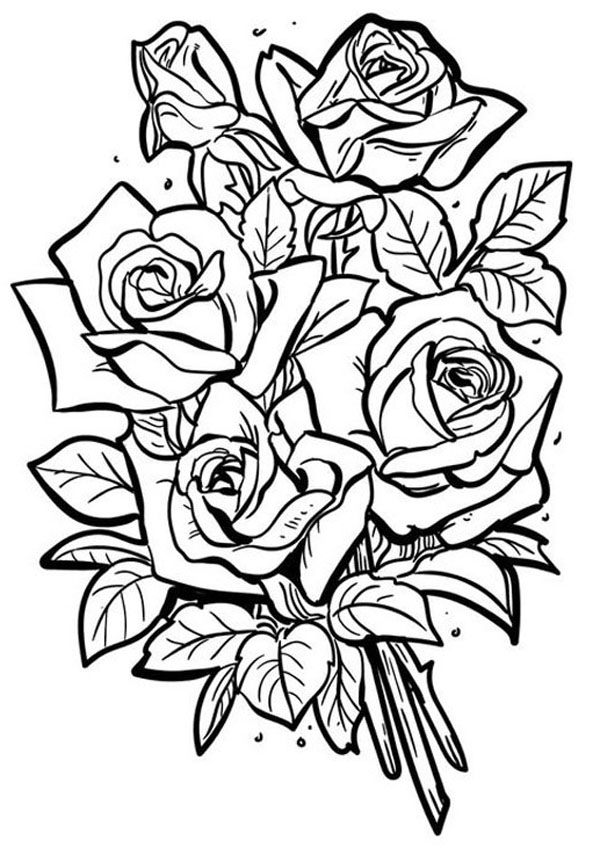 Gorgeous rose coloring pages for kids and adults