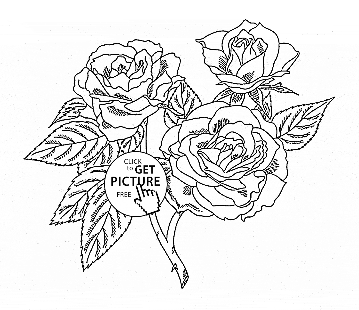 Realistic roses coloring page for kids flower coloring pages printables free