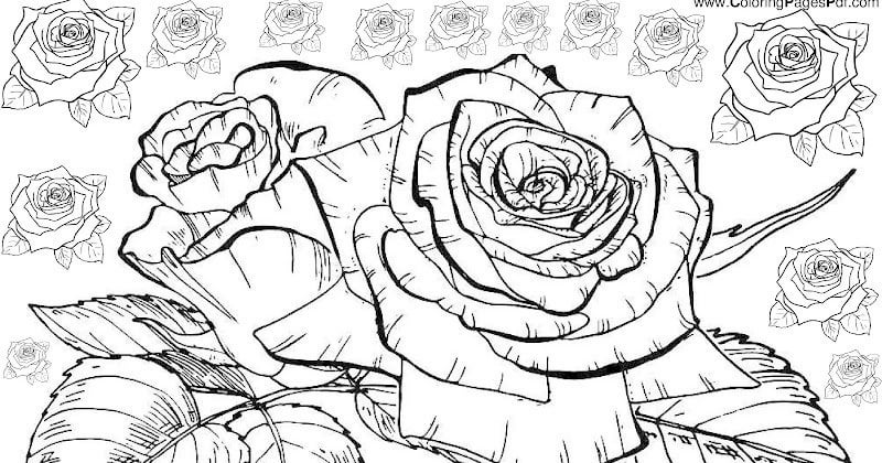 Realistic rose coloring pages rcoloringpagespdf