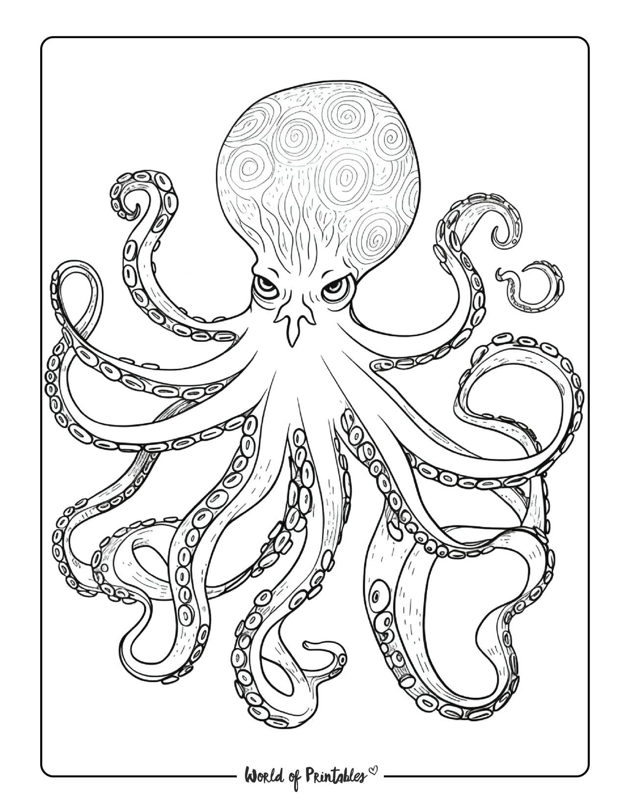 Sea animal coloring pages for kids adults