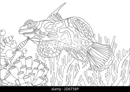 Fish exotic coloring antistress coloring page sea creatures ocean fish illustration stock photo