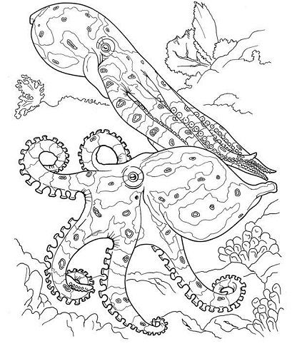 Best printable animal colouring pages for kids ocean coloring pages animal coloring pages adult coloring pages