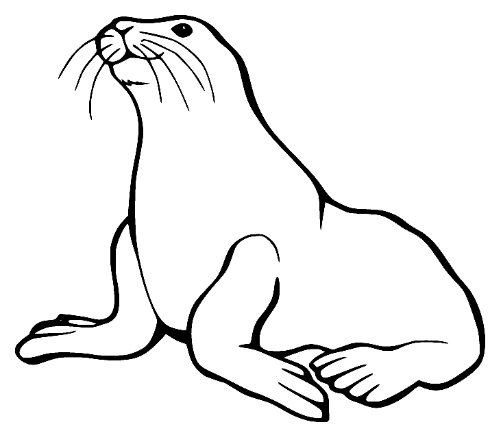 Realistic animal coloring pages printable for free download