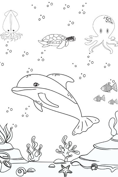 Free dolphin coloring pages