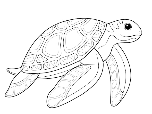 Premium vector sea animal turtle coloring book vector children