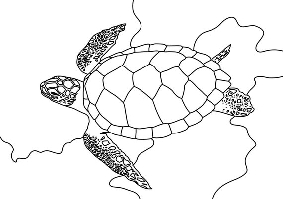 Sea creatures set animal printable coloring pages print at