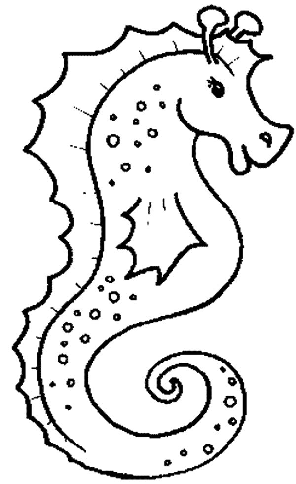 Realistic seahorse free sea animals coloring page