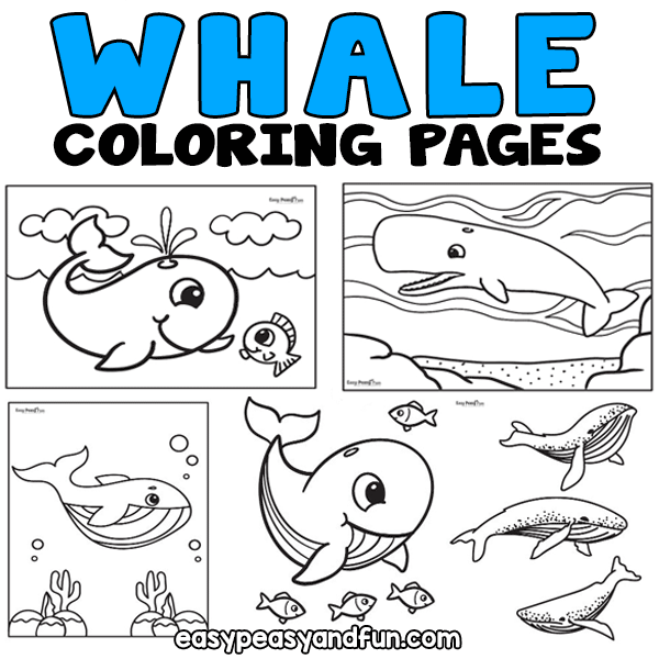 Whale coloring pages