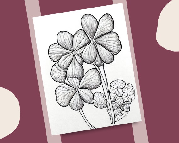 Clover coloring pages grayscale lucky clovers coloring book realistic clover leaves printable coloring page