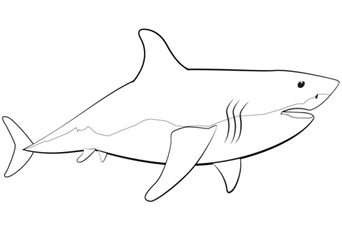 Great white shark coloring page free printable coloring pages