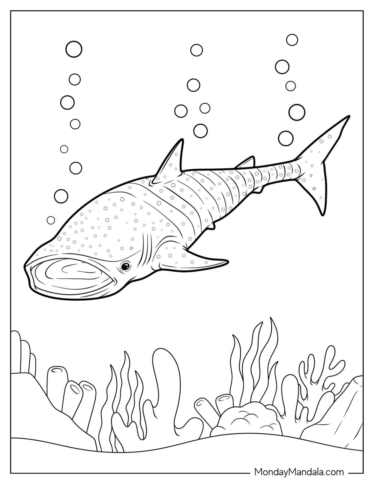 Shark coloring pages free pdf printables