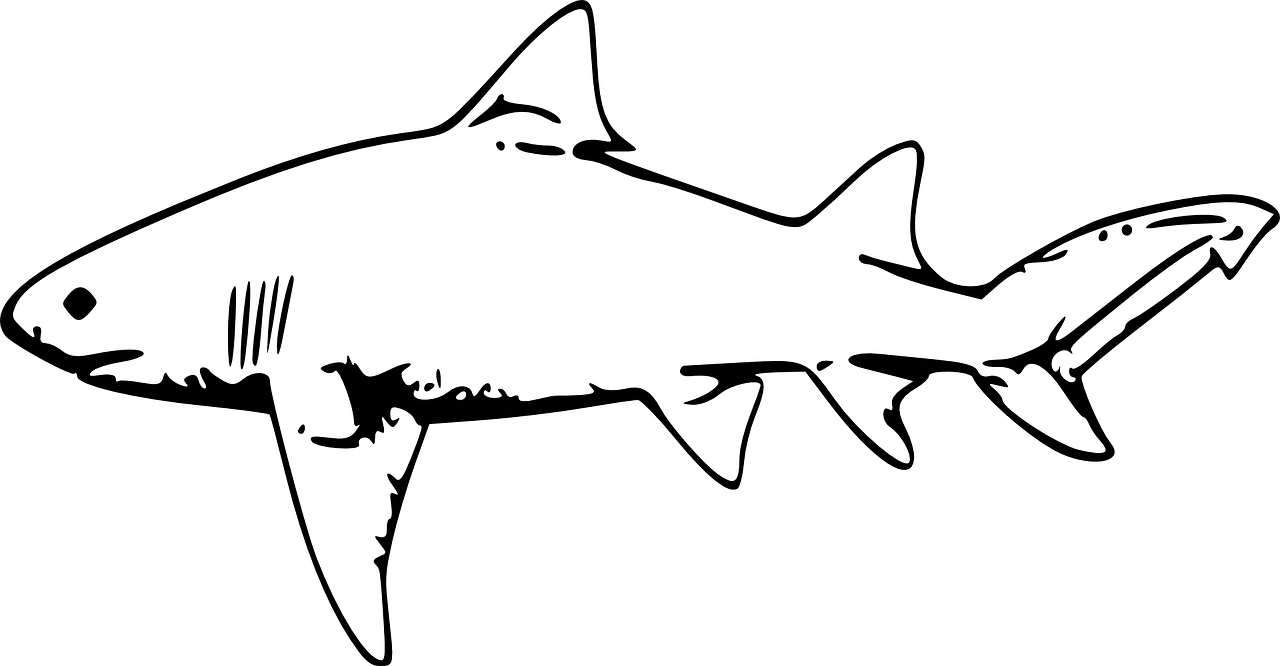 Tiger shark coloring pages
