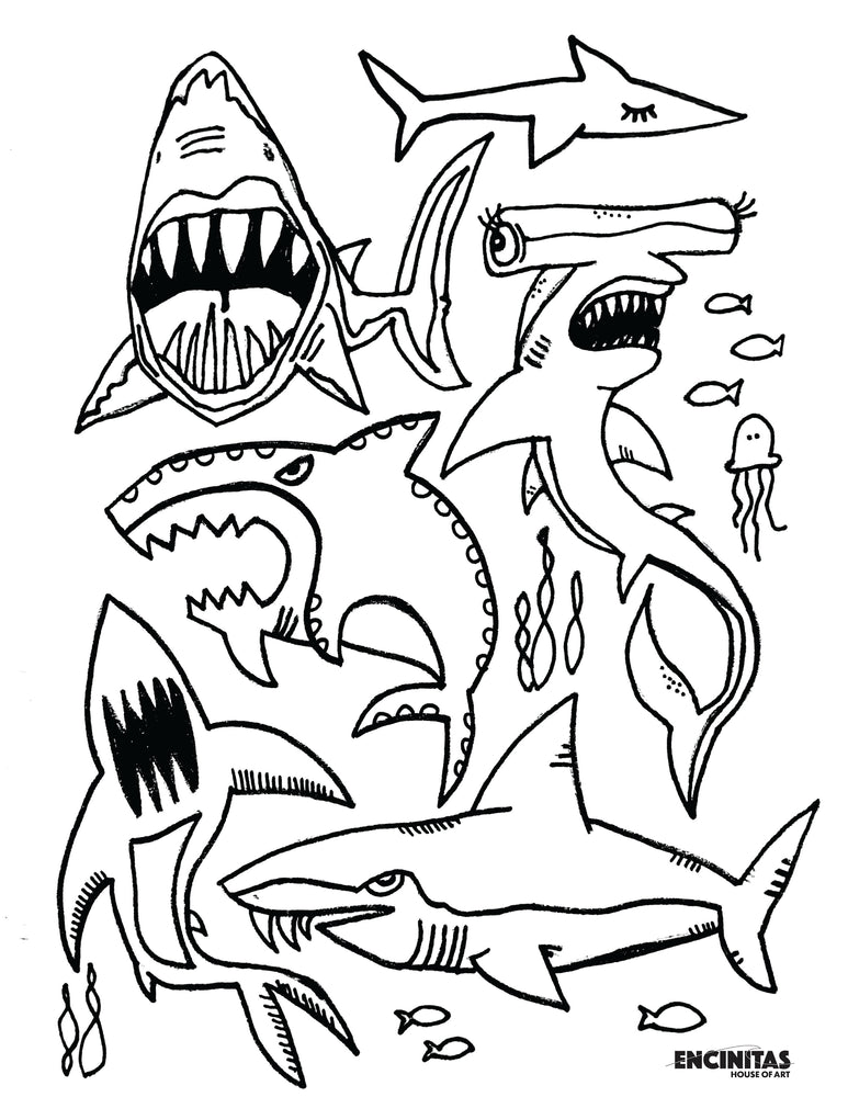 Shark coloring page â encinitas house of art