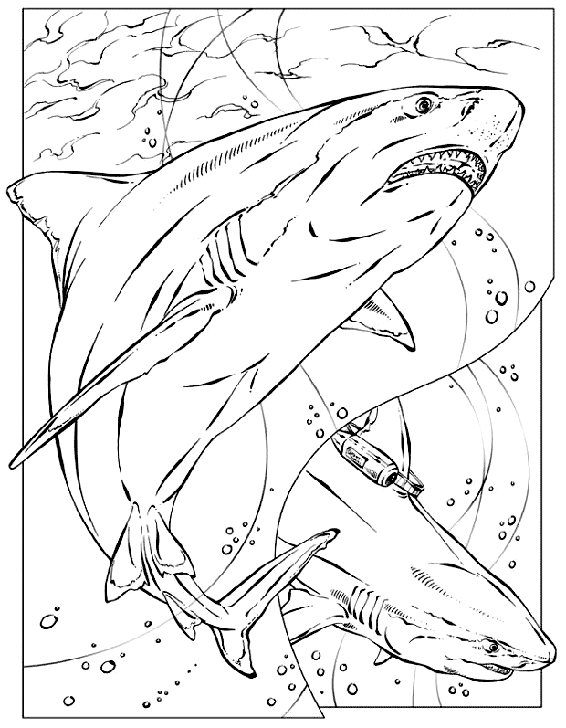 Shark coloring pages printable for free download