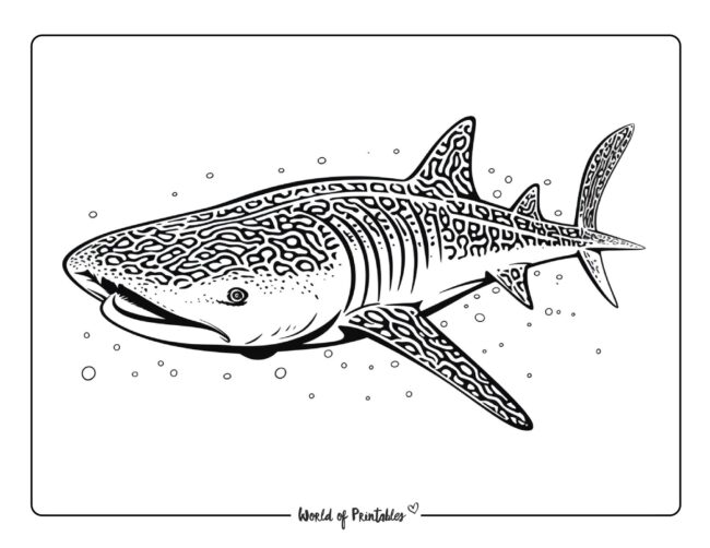Shark coloring pages for kids adults