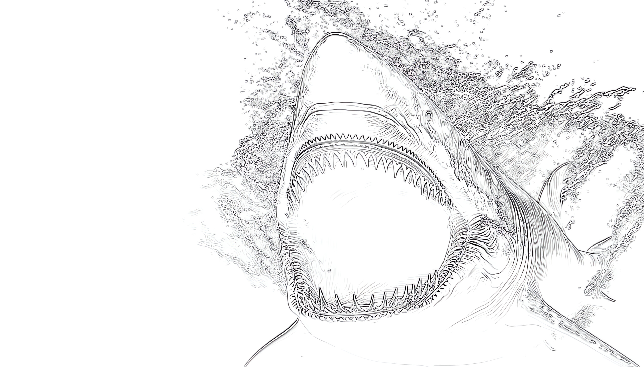 Printable big angry white shark coloring page