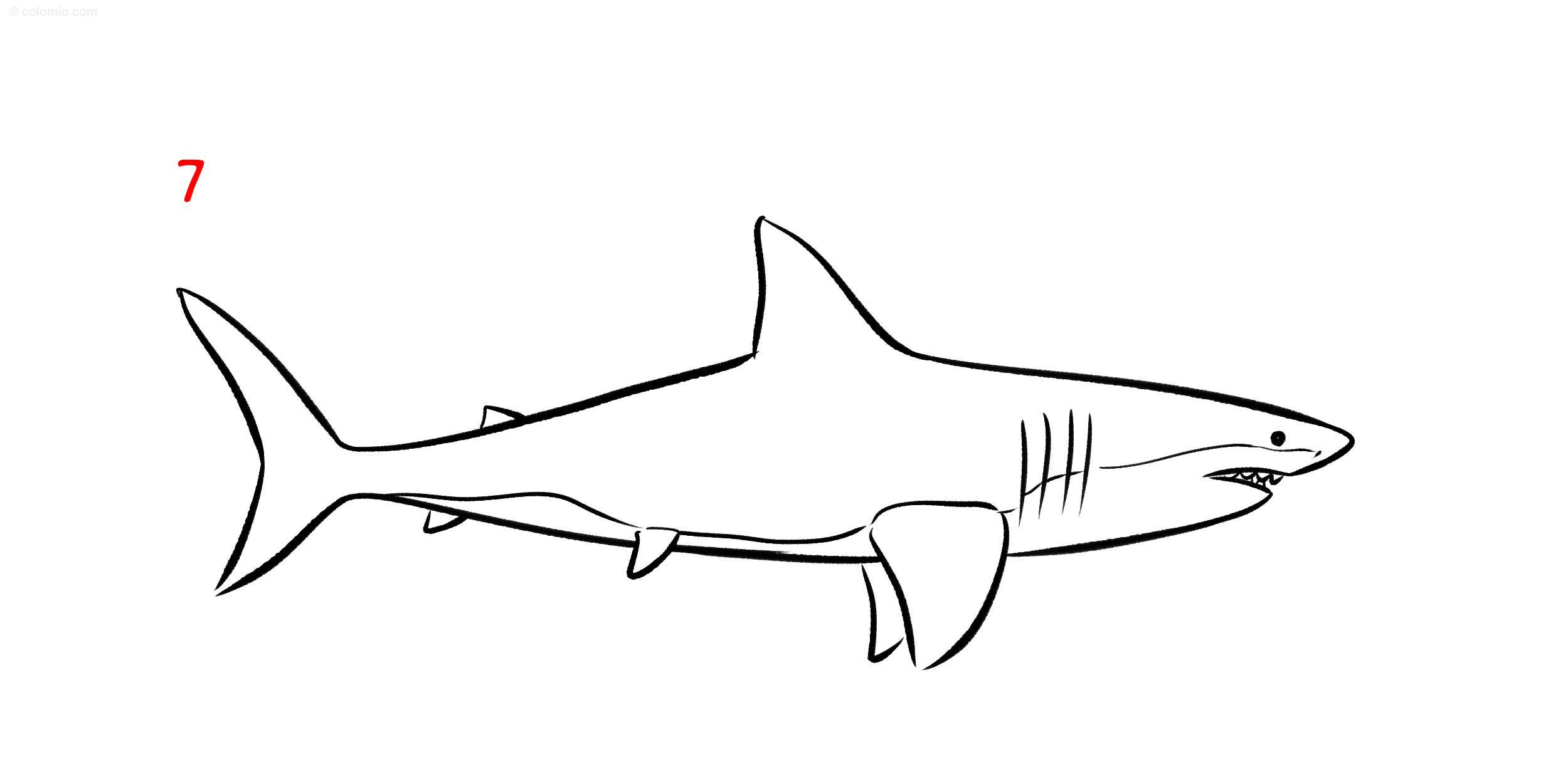 Sharks coloring pages free printable shark coloring sheets