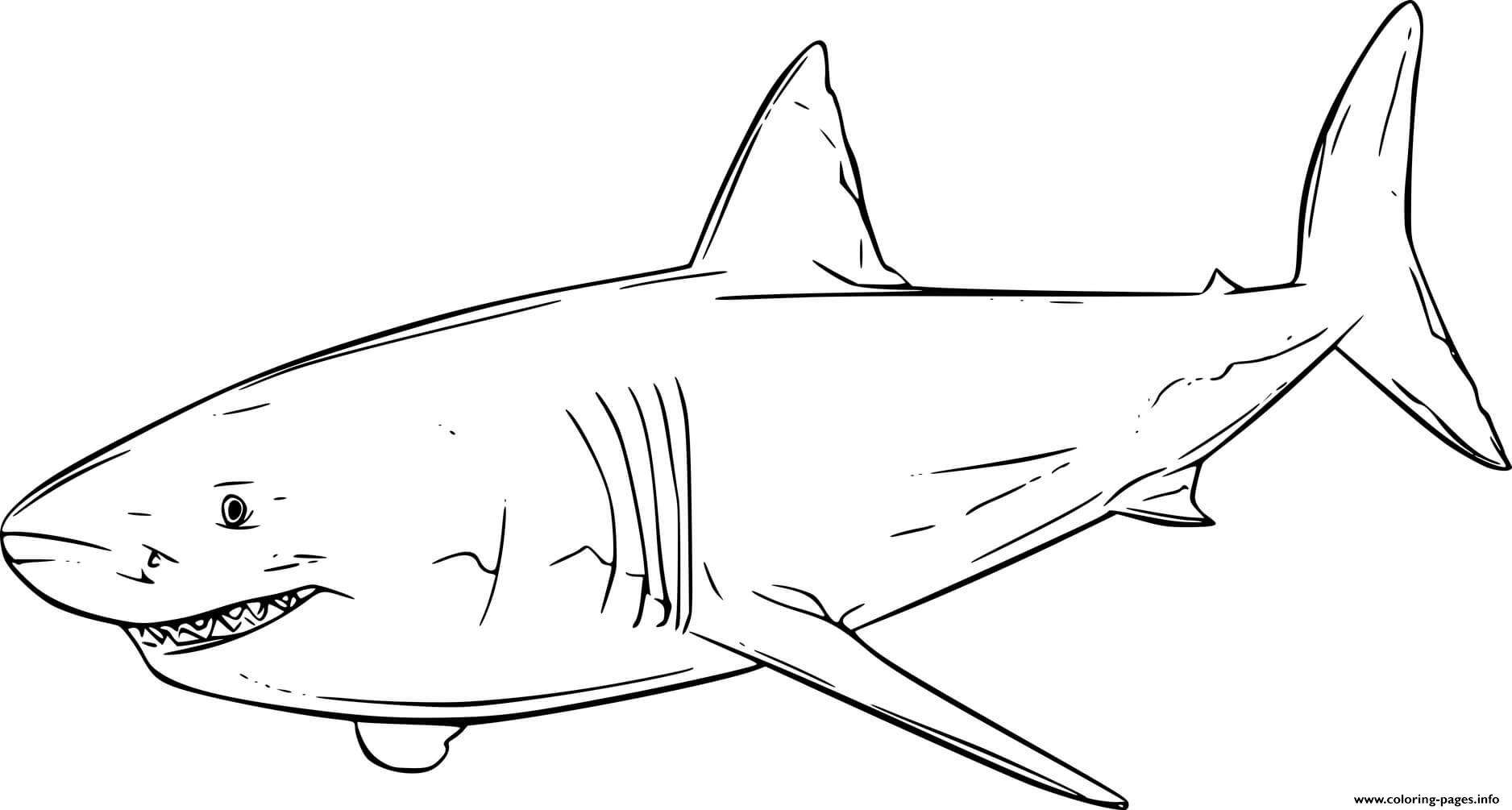 Swimming great white shark coloring page printable