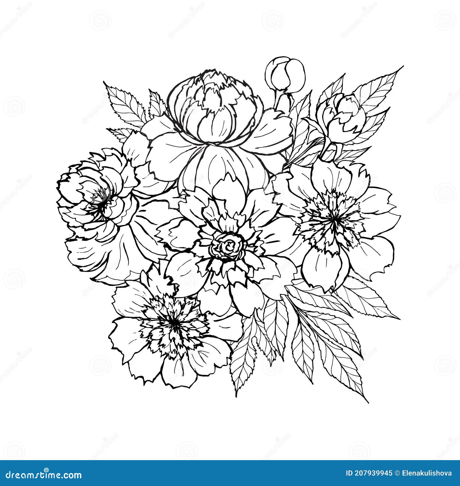 Peony rose flowers bouquet position outline realistic sketch drawing stock vector