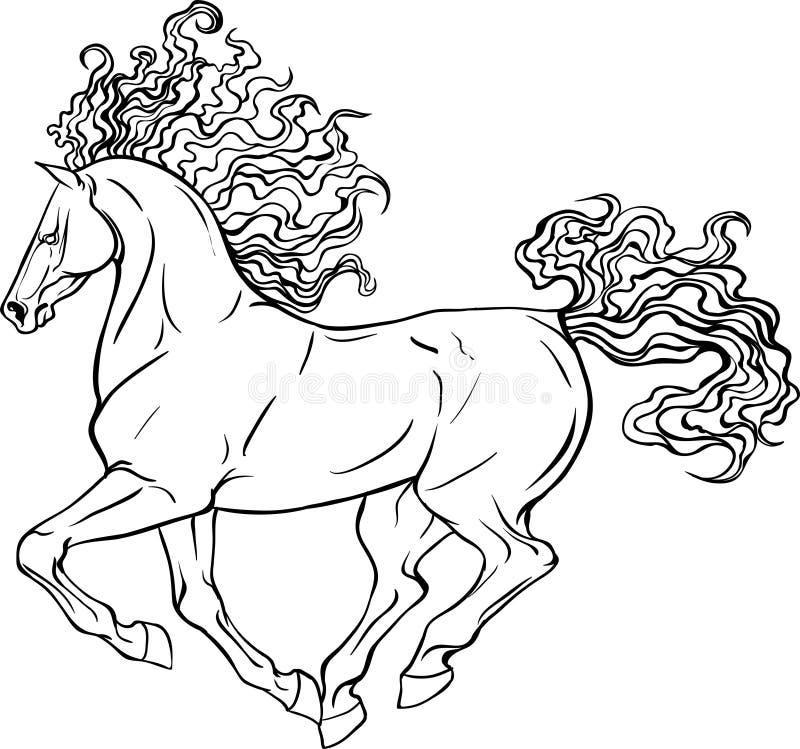 Adult coloring page horse stock vector illustration of mare