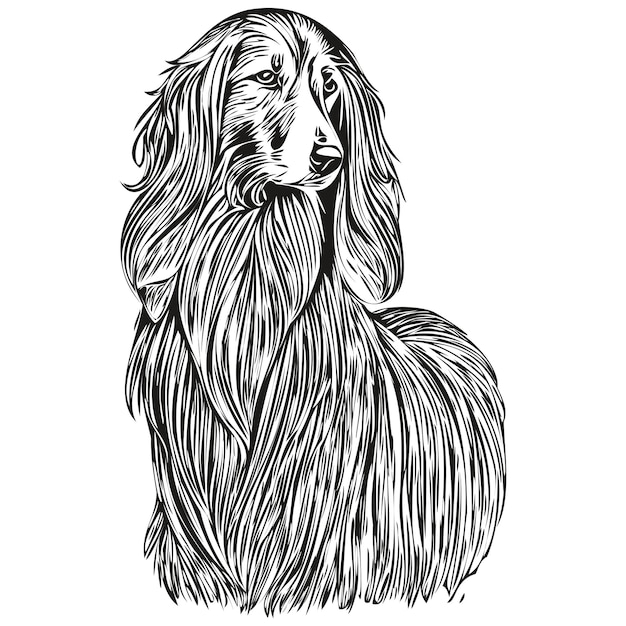 Premium vector afghan hound dog ink sketch drawing vintage tattoo or t shirt print black and white vector realistic breed pet