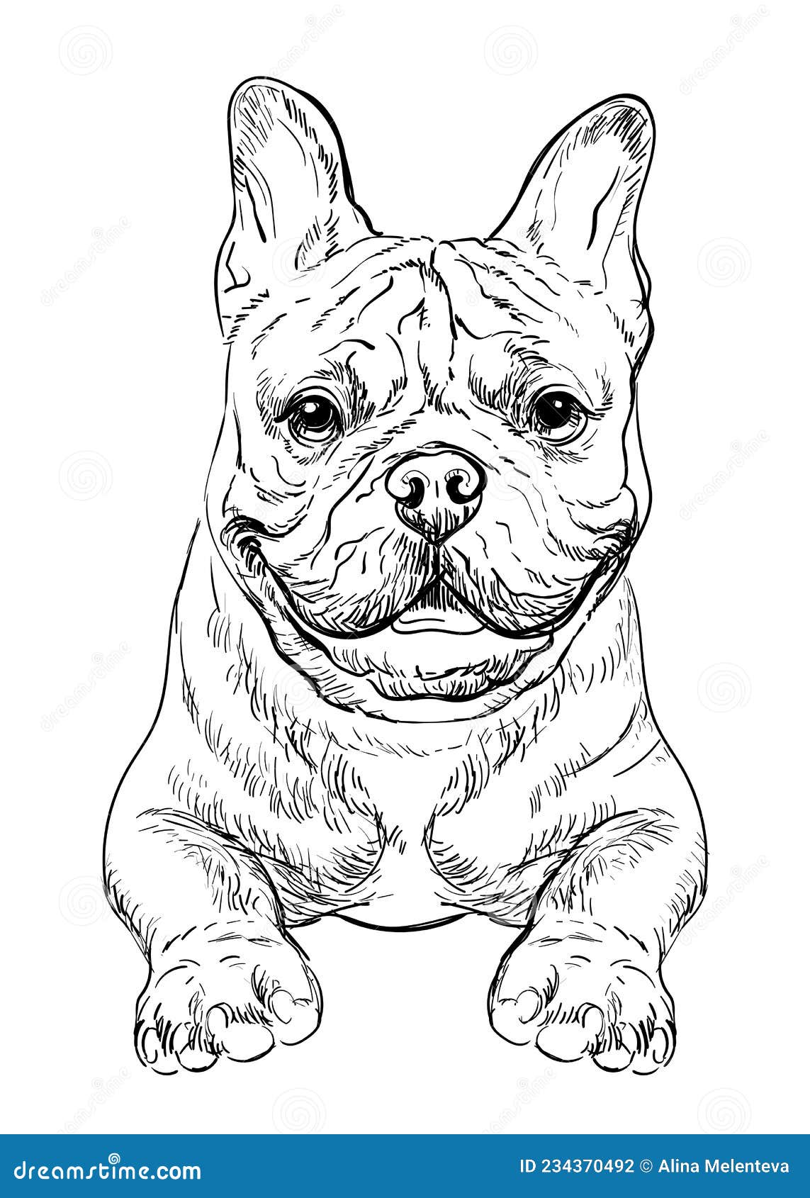 French bulldog dog vector hand drawing portrait vector stock vector