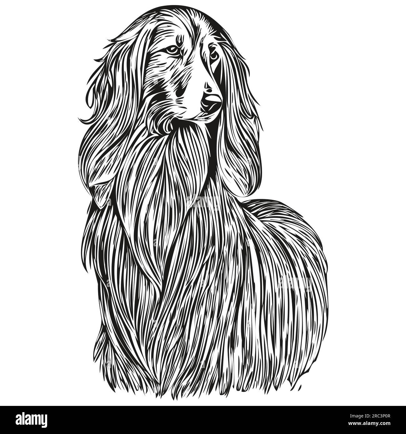Afghan hound dog ink sketch drawing vintage tattoo or t shirt print black and white vector realistic breed pet stock vector image art