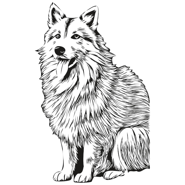 Premium vector icelandic sheepdog dog cartoon face ink portrait black and white sketch drawing tshirt print realistic breed pet